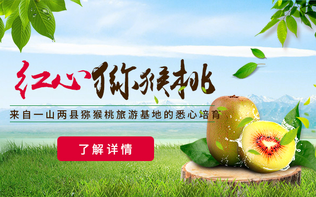 手机端幻灯二